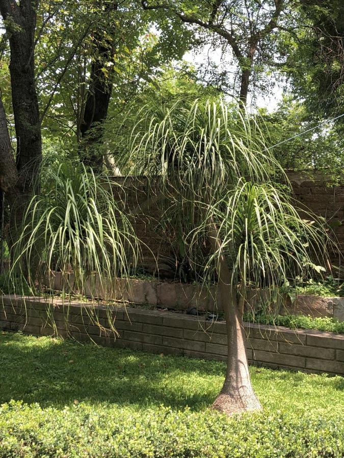 Casa Del Retono Panzió Tlaquepaque Kültér fotó